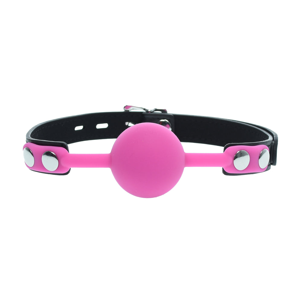 Pink Silicone Gag Ball