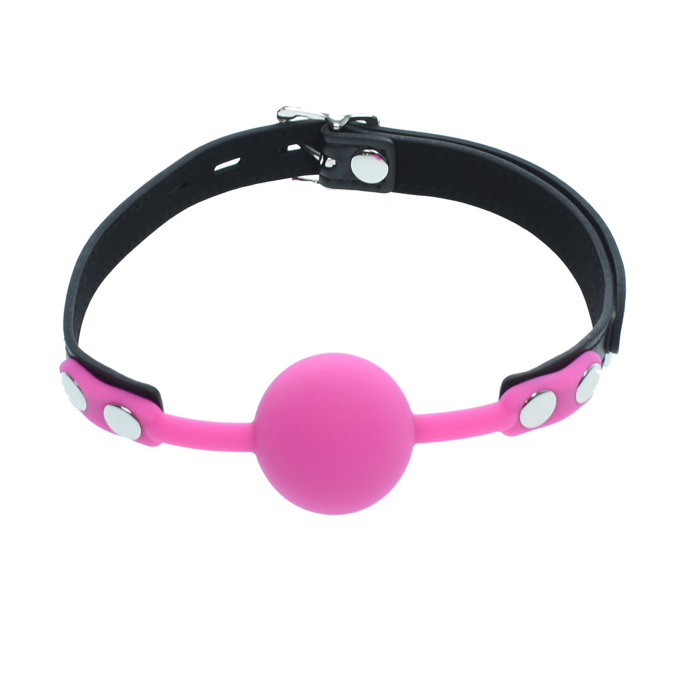 Pink Silicone Gag Ball