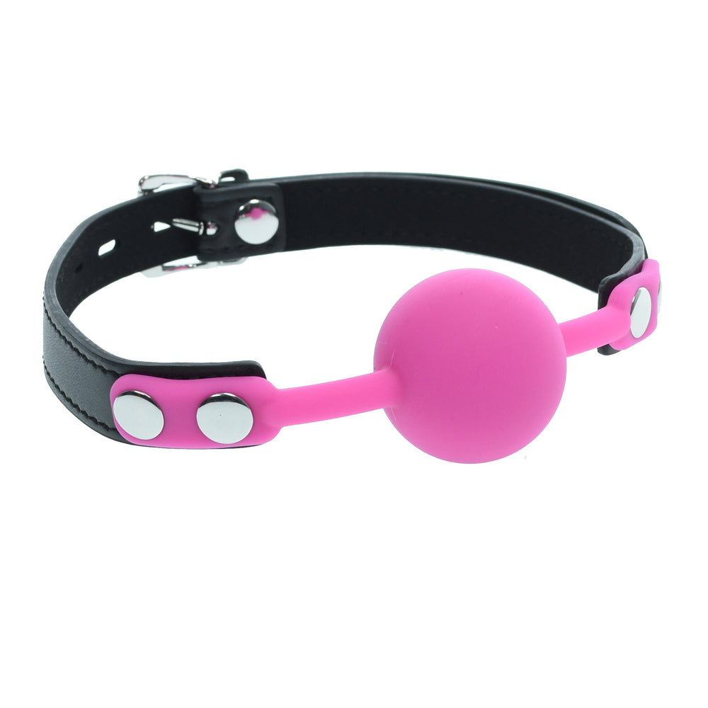 Pink Silicone Gag Ball