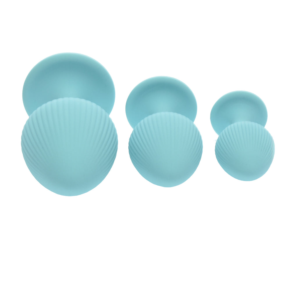 Beginner Silicone Butt Plug Set