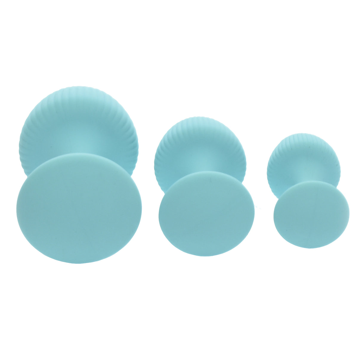 Beginner Silicone Butt Plug Set