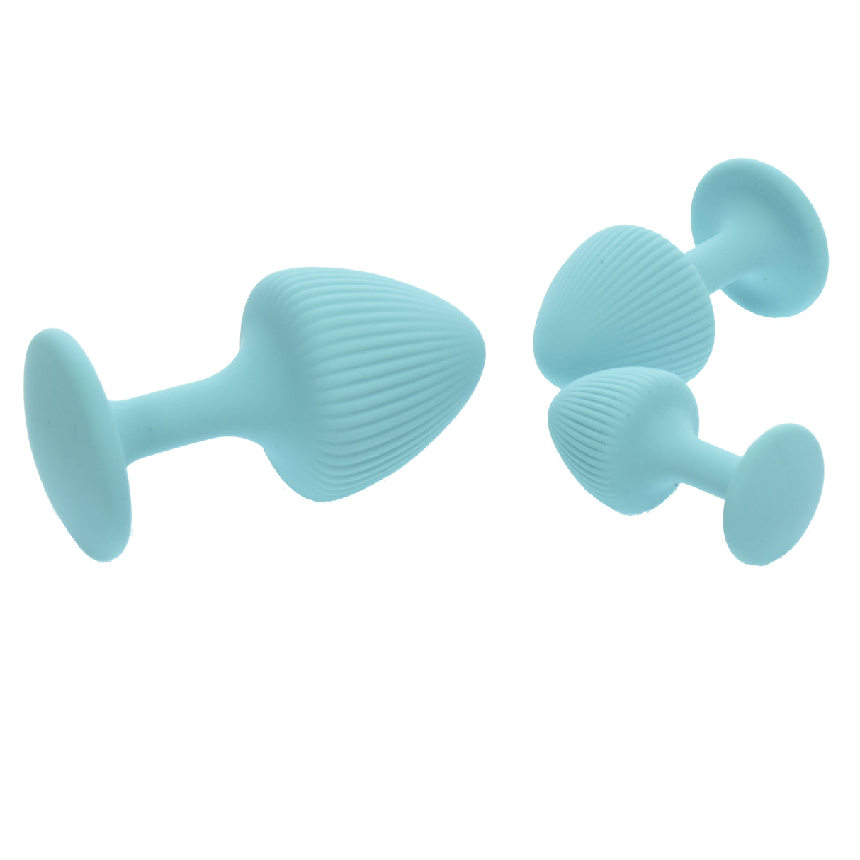 Beginner Silicone Butt Plug Set