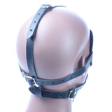 Blindfold Head Harness With Gag Ball