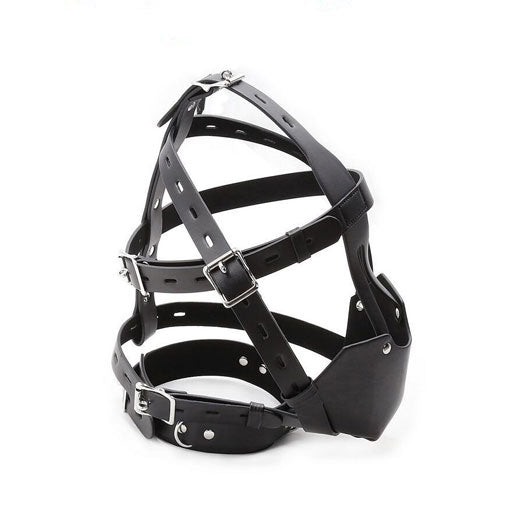 Head Harness Muzzle With Gag & Locking Buckles