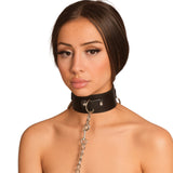 Neck Collar With D-Link Attachments