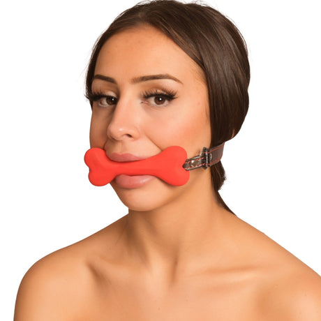 Red Dog Bone Gag Ball