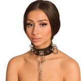 Spiked Dog Neck Collar With Leash