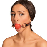 Stainless Steel Rod Gag Ball