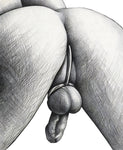 Single Ball Anal Hook Cock Ring 2.5 inch Ring