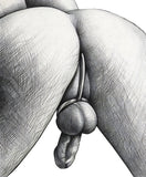 Single Ball Anal Hook Cock Ring 2.5 inch Ring