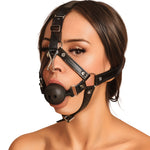 Nose Hook Harness With Gag Ball