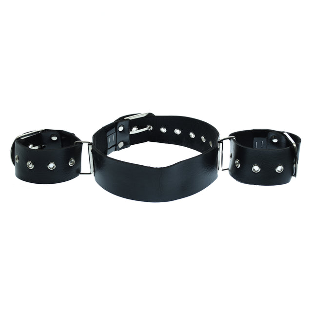 Wrist And Neck Restraints