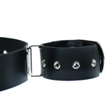 Wrist And Neck Restraints