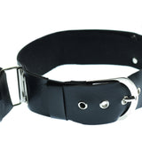 Wrist And Neck Restraints