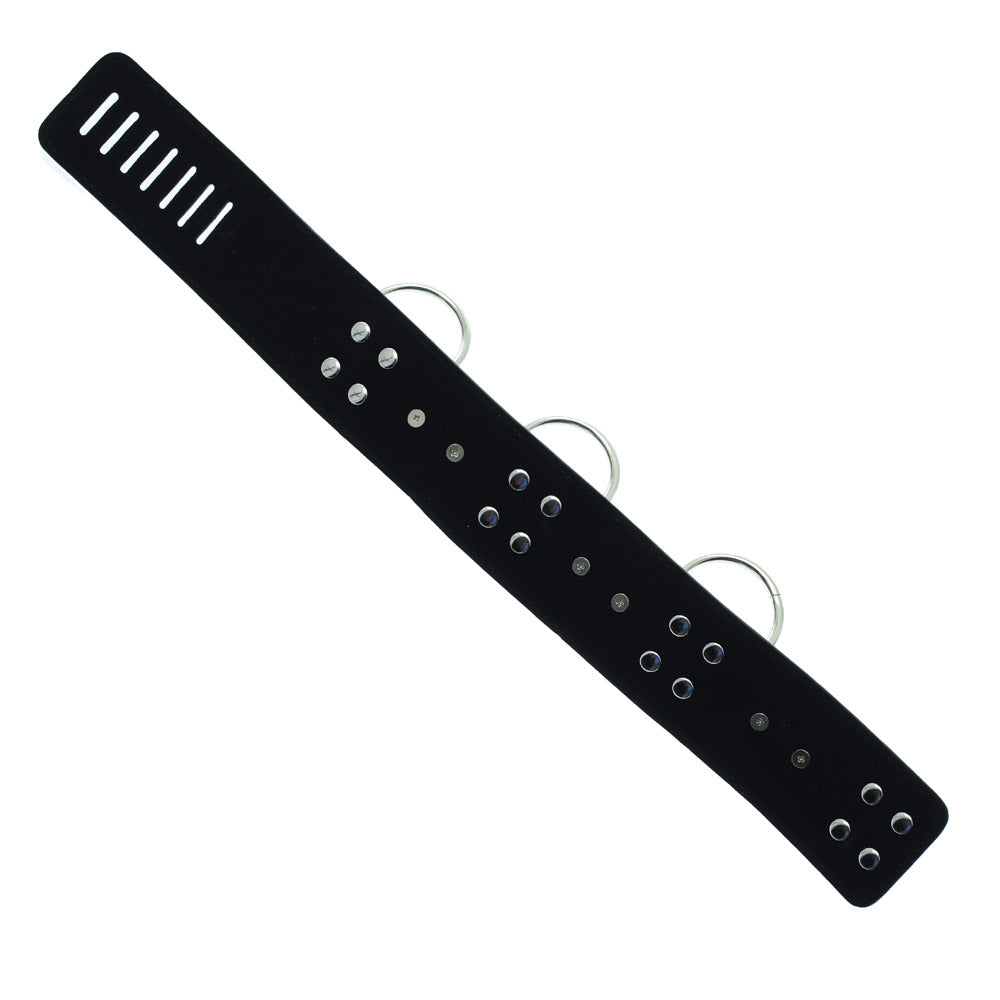 Spiked Dog Neck Collar With Leash