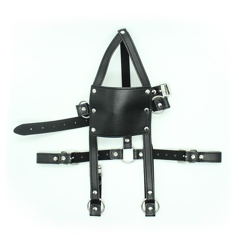 Muzzle Harness With Ball Gag