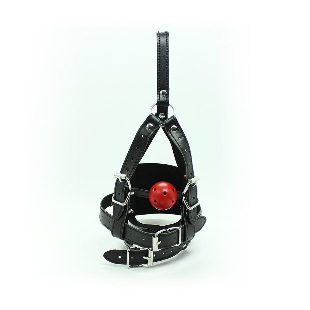 Muzzle Harness With Ball Gag