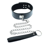 Medium Hasp Lock Neck Collar With Leash