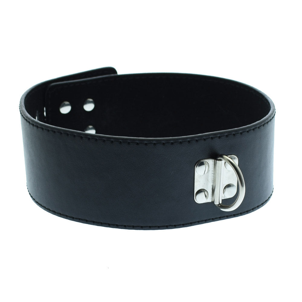 Medium Hasp Lock Neck Collar With Leash