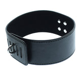 Medium Hasp Lock Neck Collar With Leash