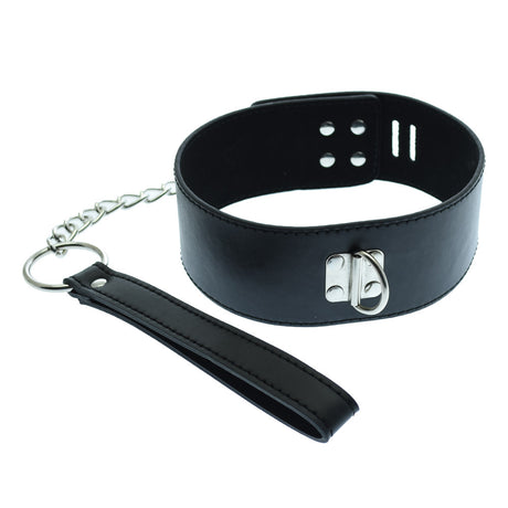 Medium Hasp Lock Neck Collar With Leash