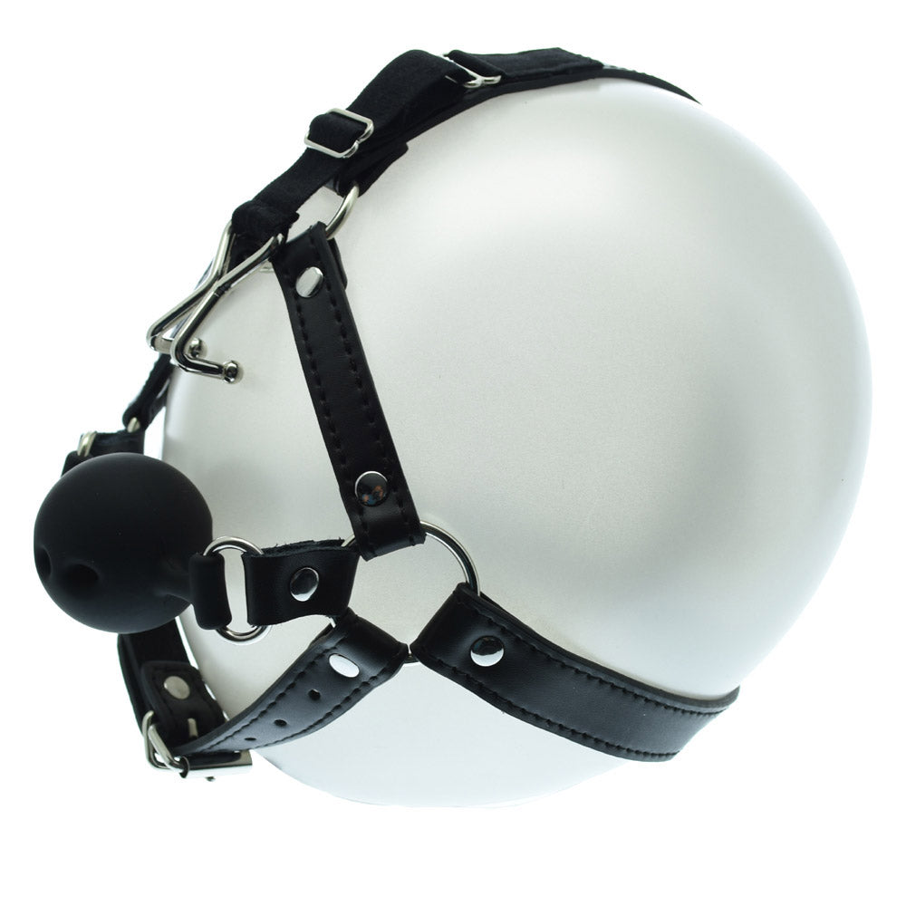 Nose Hook Harness With Gag Ball