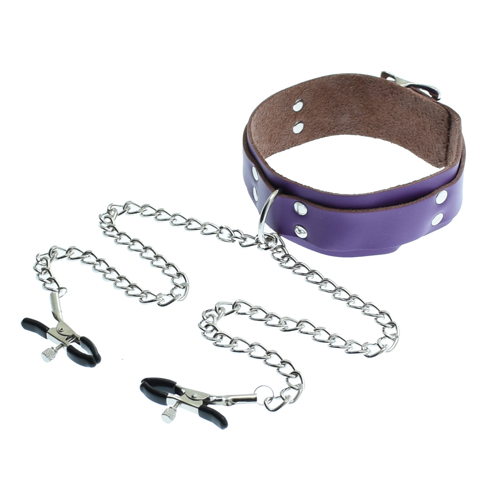 Purple Leather Neck Collar With Nipple Clamps