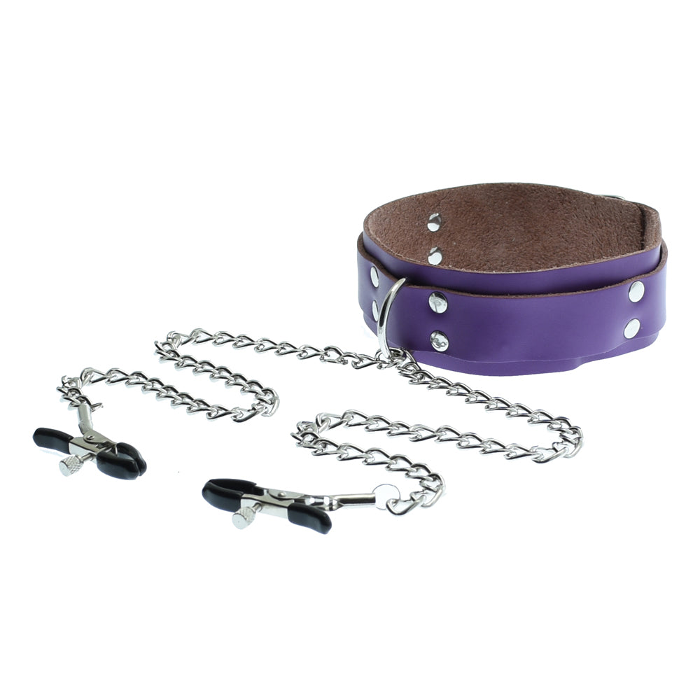 Purple Leather Neck Collar With Nipple Clamps