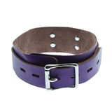 Purple Leather Neck Collar With Nipple Clamps