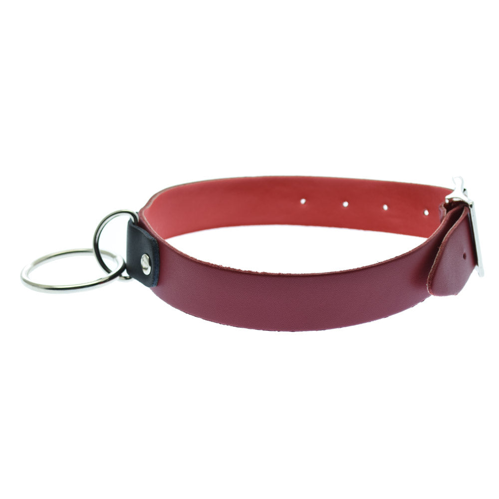 Red PVC Neck Collar