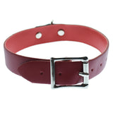 Red PVC Neck Collar