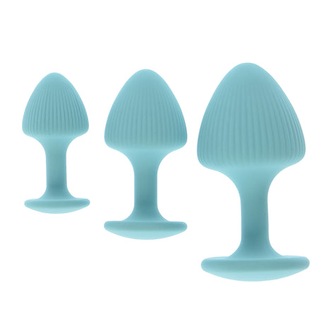 Beginner Silicone Butt Plug Set