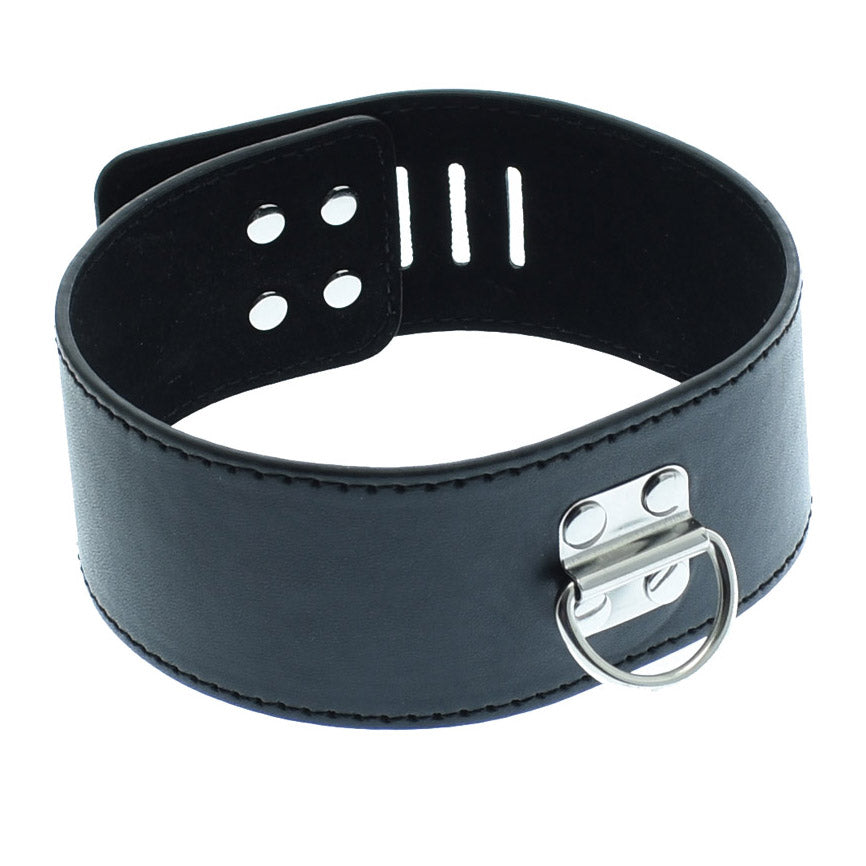 Small Hasp Lock Neck Collar With Leash