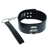 Small Hasp Lock Neck Collar With Leash